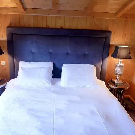 Villars-sur-ollon Sleeps 8 Wifi بيت للعطل *